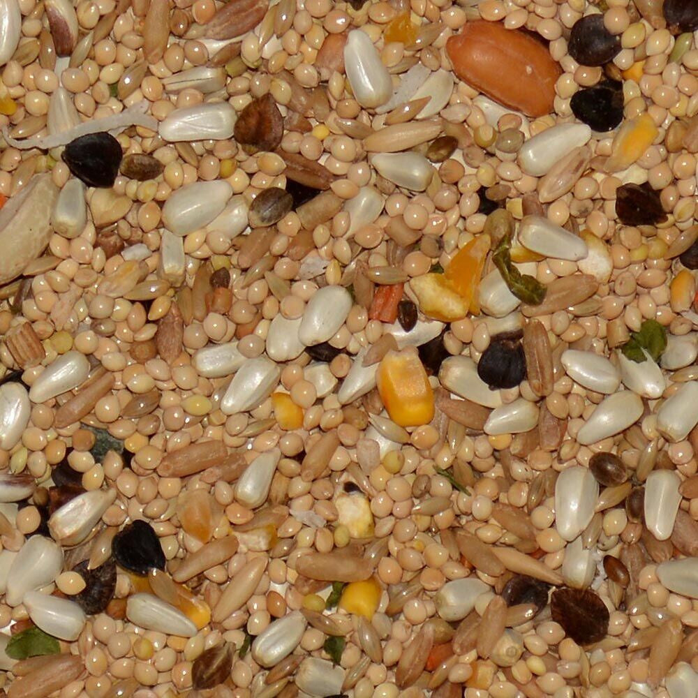Avian Science Super Cockatiel No Sunflower 4lb $27.11