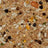 Avian Science Super Cockatiel No Sunflower 4lb $27.11