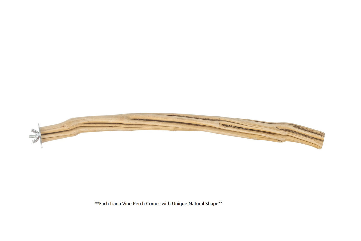 Liana Vine Perch (Large) $11.29