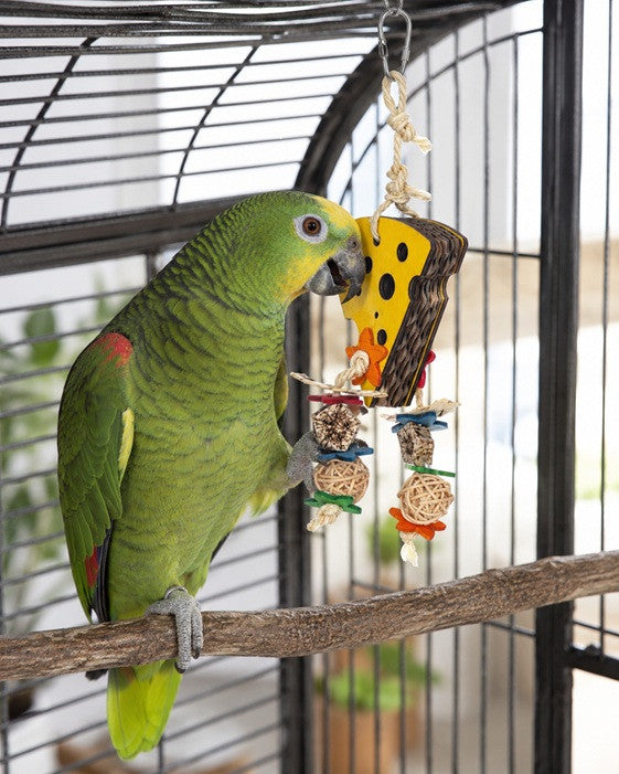 Cheese Forager Bird Toy $11.29