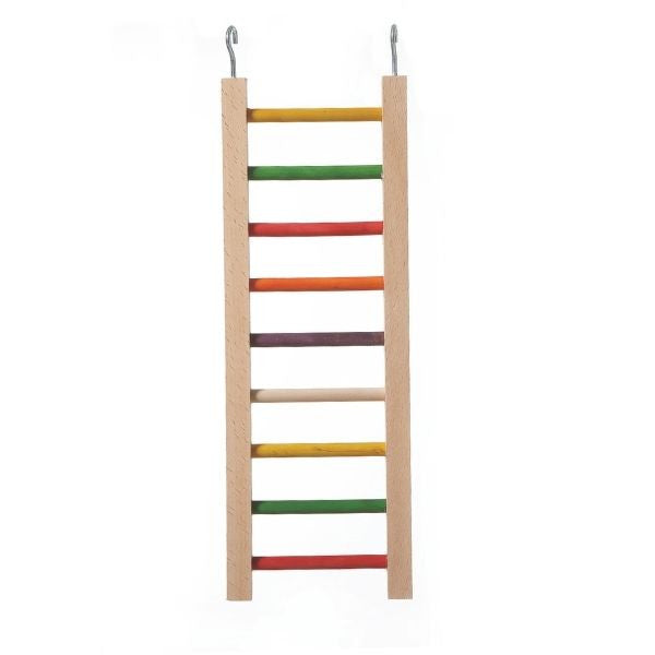 Parrot Ladder with Colourful Steps $14.68