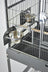 32x21" Large Elegant Victorian Top Parrot Bird Flight Cage $450.87