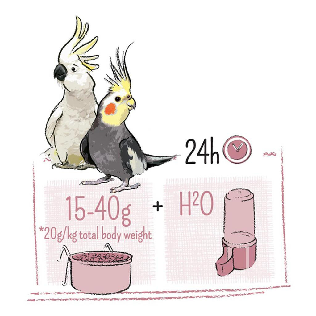 Puur Gourmet Seed Mix for Large Parakeets and Cockatoos (750g) $15.81