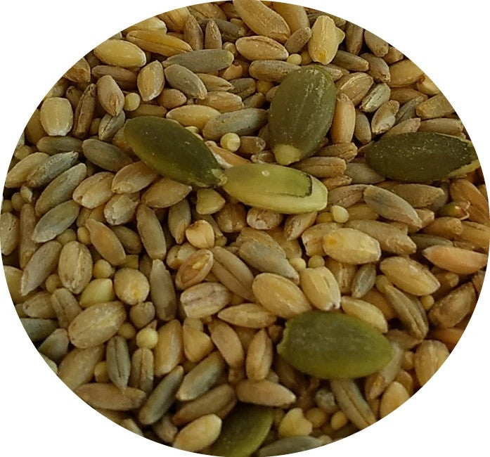 TOP's Totally Organic All-in-One Seed Mix (1lb) $15.81