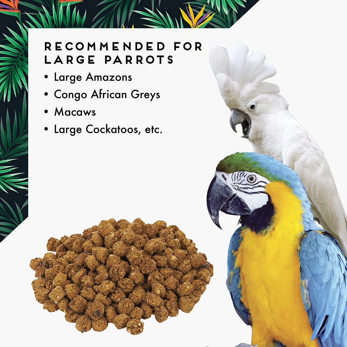 CAITEC Oven Fresh Bites Baked Avian Diet Large (42 oz) $32.76