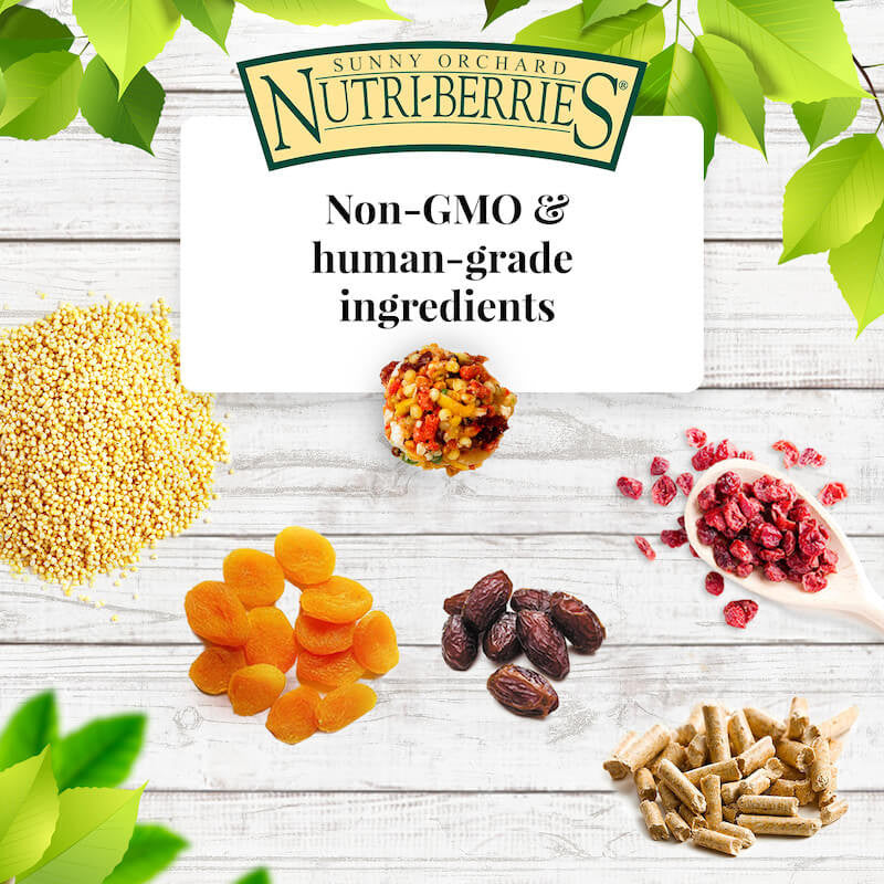 Lafeber's Sunny Orchard Nutri-Berries for Cockatiels 10oz $18.07