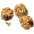 Lafeber's Pellet-Berries for Cockatiels (10oz) $13.55