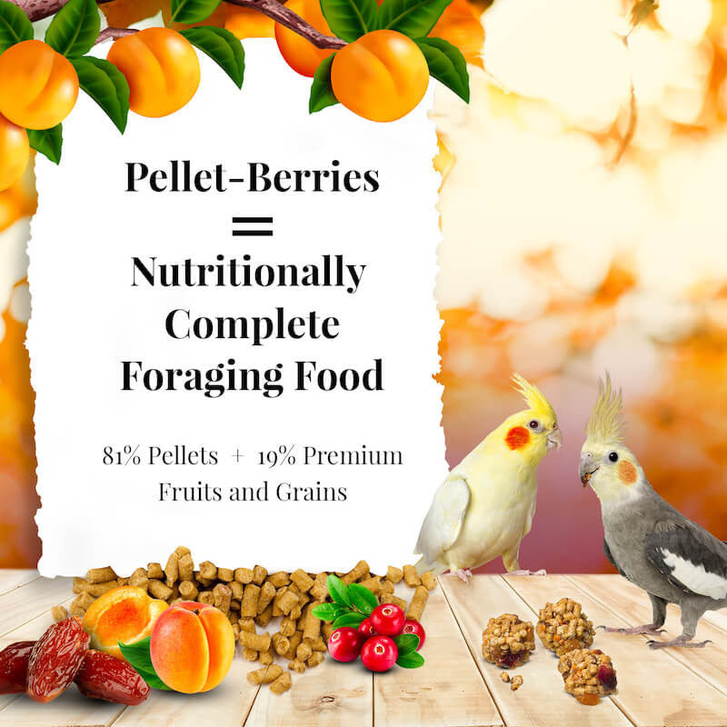 Lafeber's Pellet-Berries for Cockatiels (10oz) $13.55