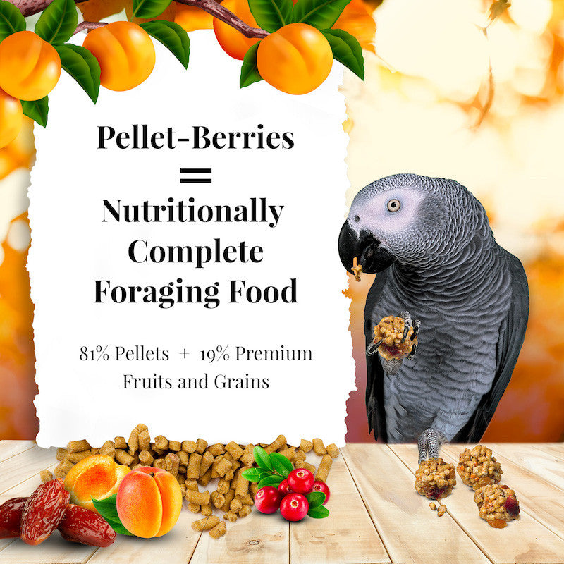 Lafeber's Pellet-Berries for Parrots (10oz) $13.55