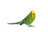 TOP's Totally Organic Mini Pellets for Parrots (1lb) $15.81