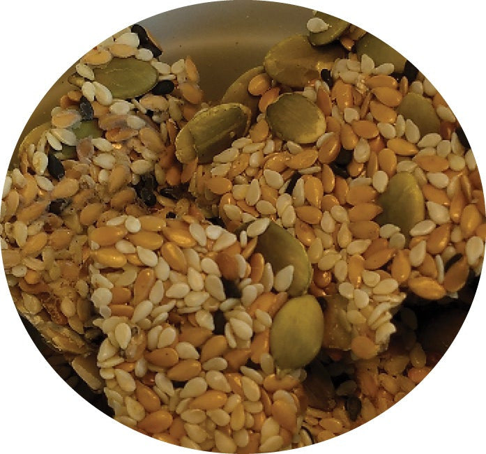 Top's Tesoro Treat for Parrots $16.94