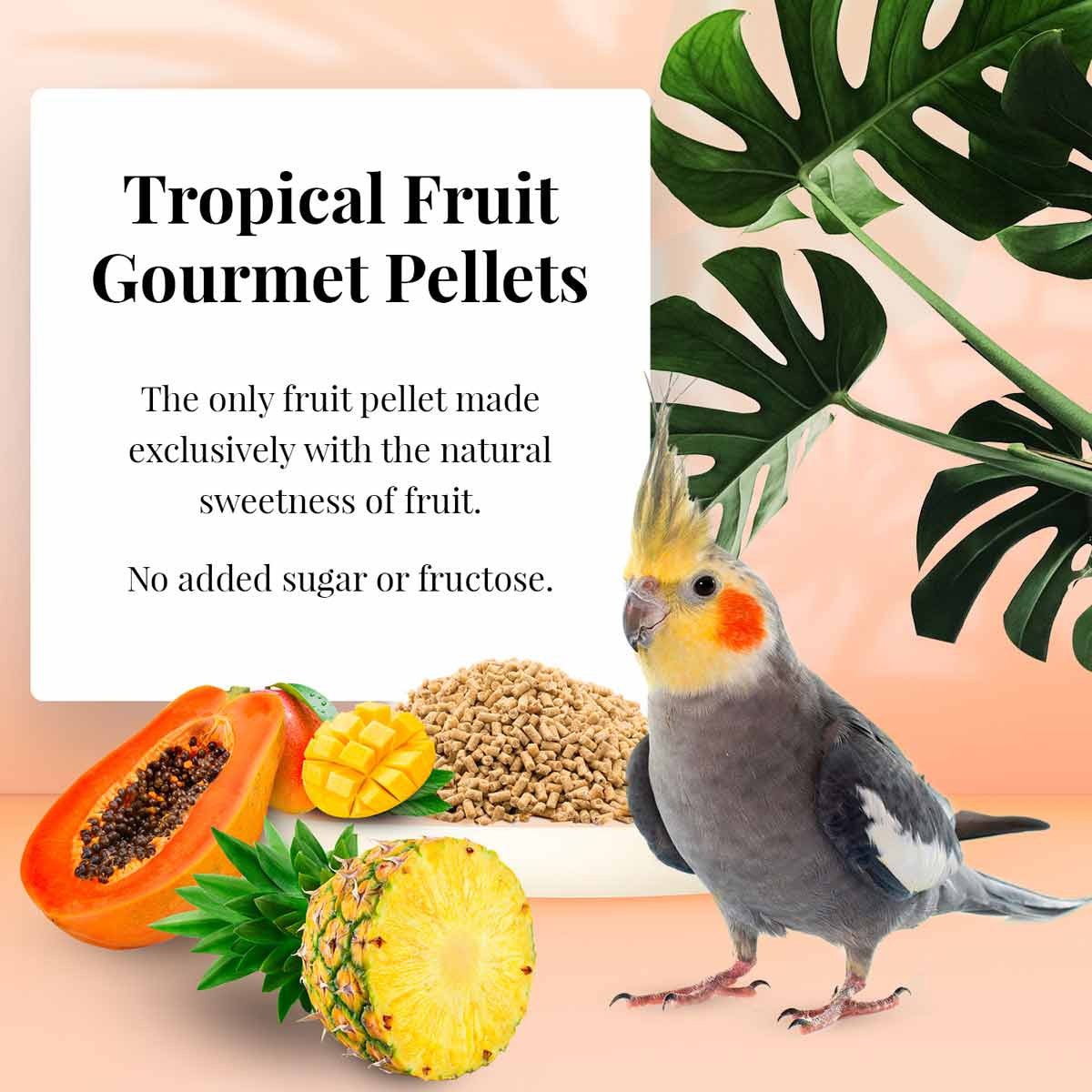 Lafeber's Cockatiel Tropical Fruit Gourmet Pellets (4 lb) $38.97