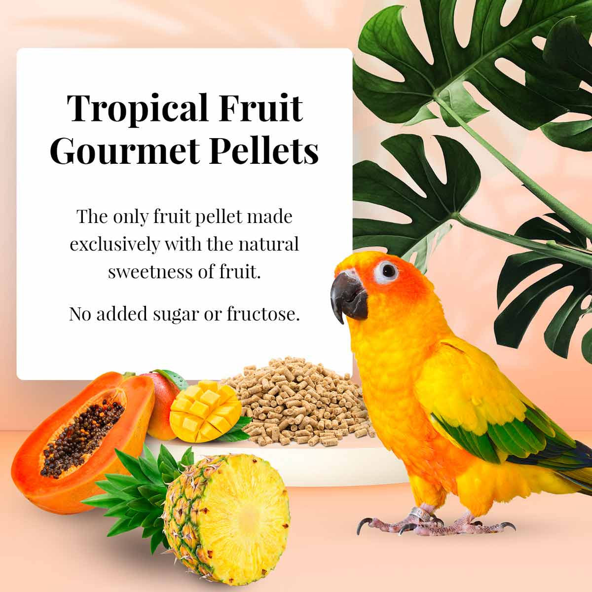 Lafeber's Conure Tropical Fruit Gourmet Pellets (1.25 lb) $18.07