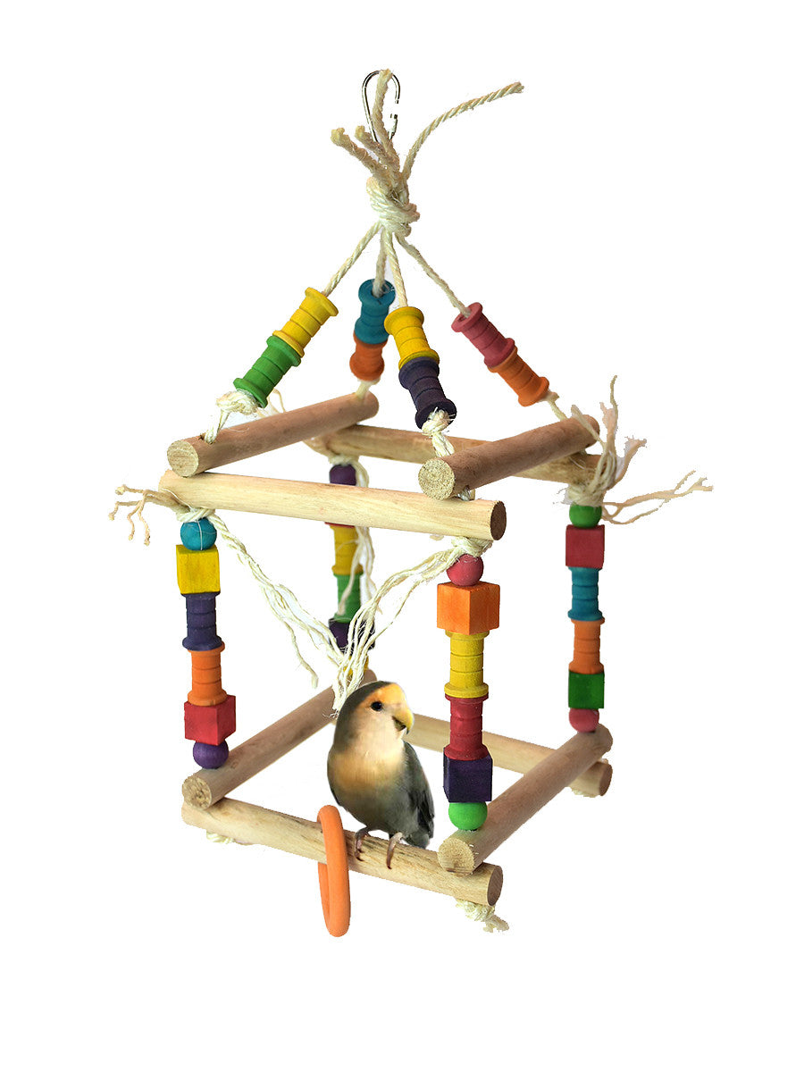 Small Natural Wood Hanging Parrot Play Gym $16.94
