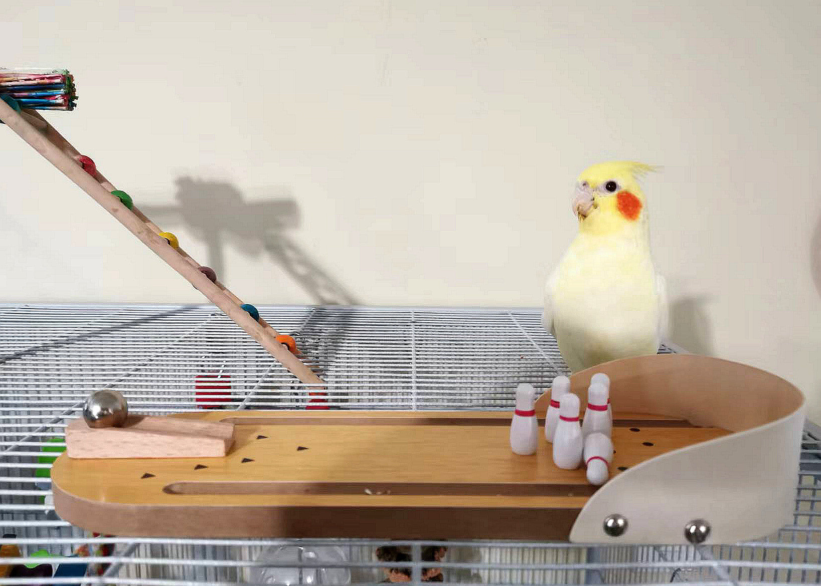 Wooden 10 Pin Mini Bowling Game for Birds $18.07