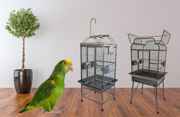Pros & Cons of 2 Popular Types of Bird Cages