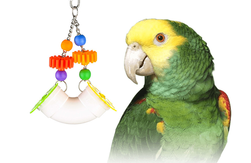 Why foraging toys are important for your parrot?