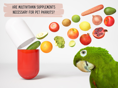 Are Multivitamin Supplements Necessary for Pet Parrots?