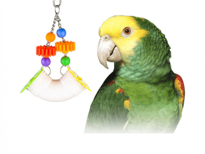 Why foraging toys are important for your parrot?