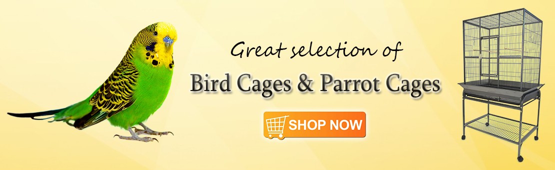  Stainless Steel Parakeet Bird Cage Hanging Bird Cage with Stand  for Small Parrot Canary Parakeets Finches Macaw Cockatiels (Size :  45x45x75cm) : Pet Supplies